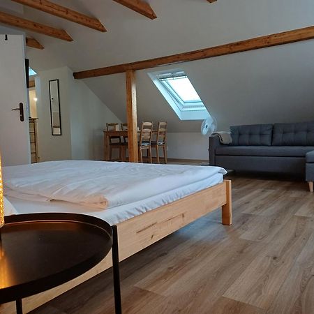 Loft Apartment Karlovy Vary Extérieur photo