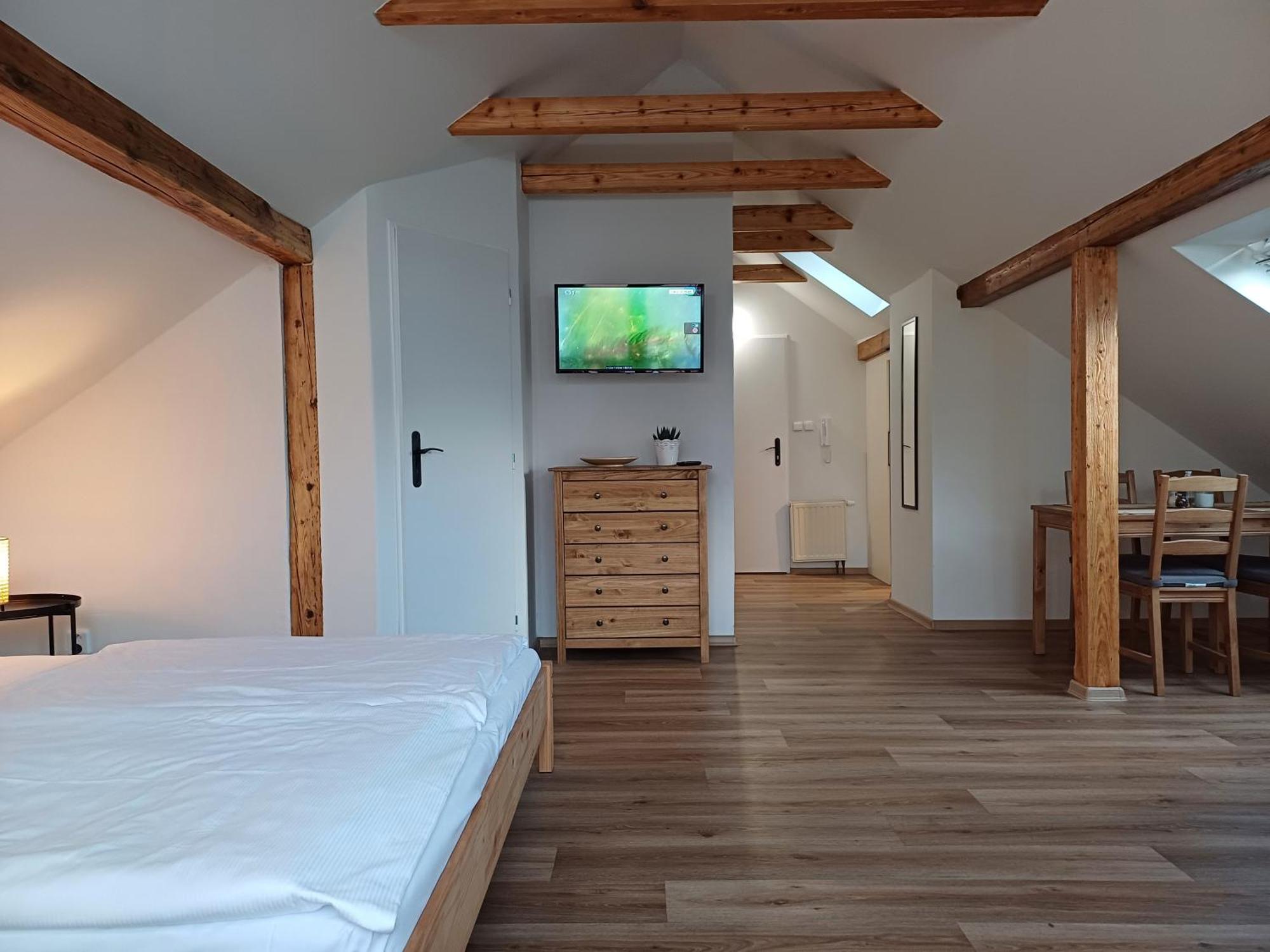 Loft Apartment Karlovy Vary Extérieur photo
