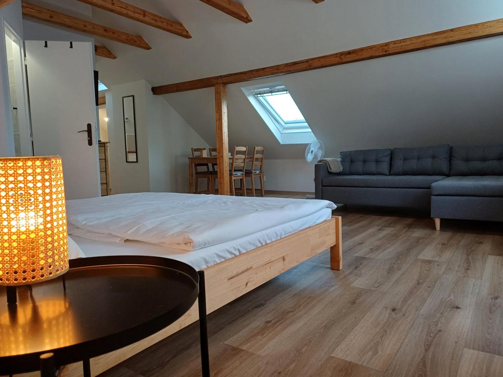 Loft Apartment Karlovy Vary Extérieur photo