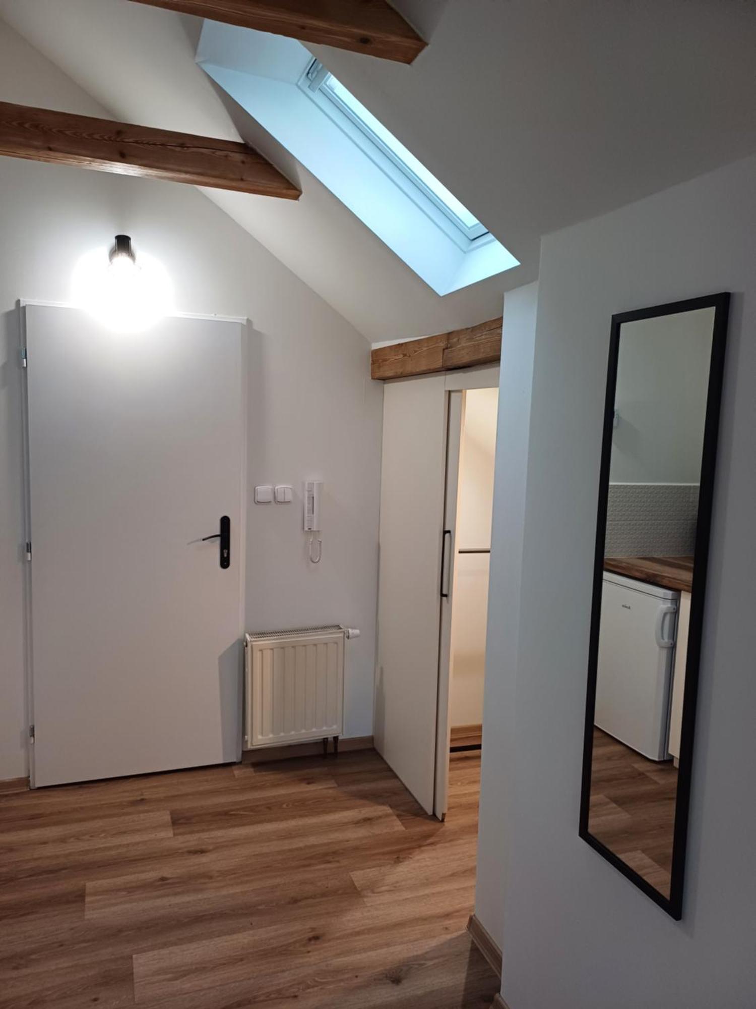 Loft Apartment Karlovy Vary Extérieur photo
