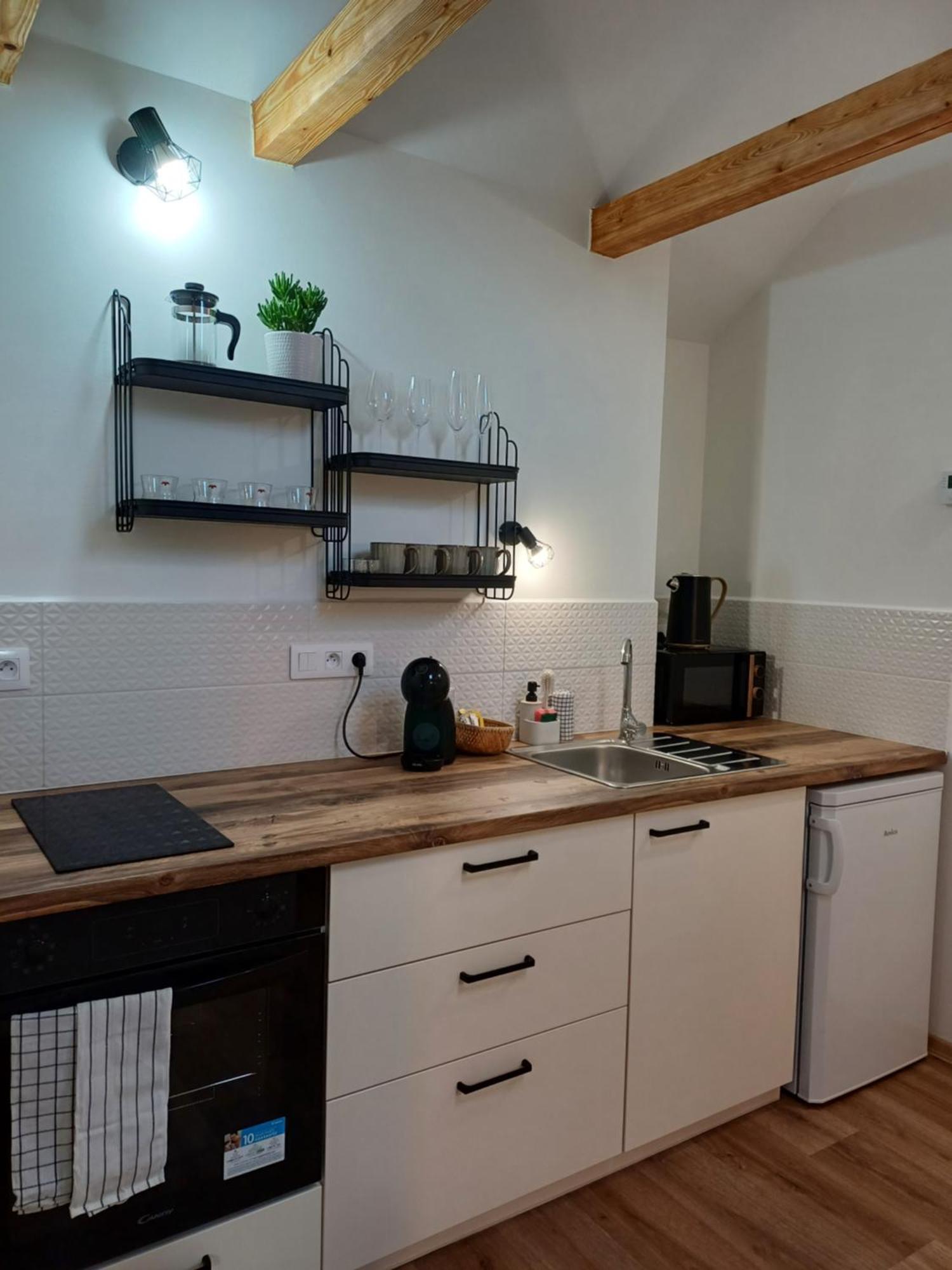 Loft Apartment Karlovy Vary Extérieur photo
