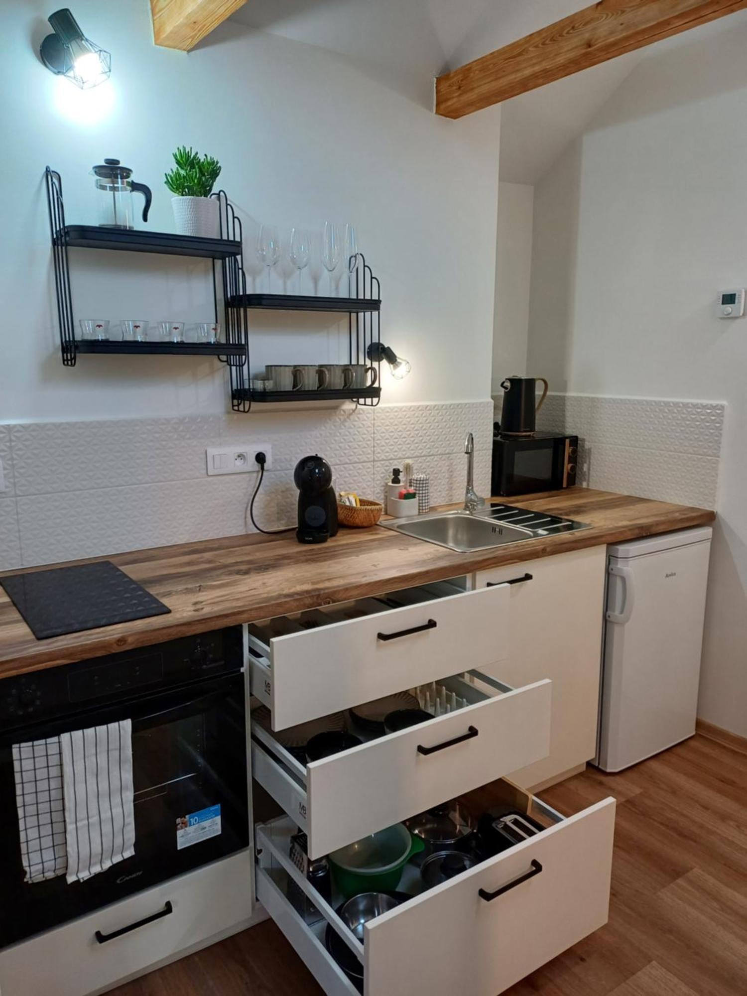 Loft Apartment Karlovy Vary Extérieur photo